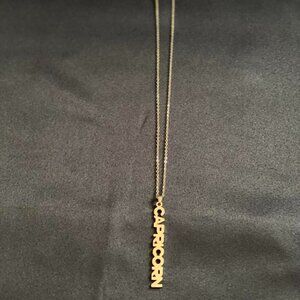 Zodiac neckalce,Sliver Capricorn